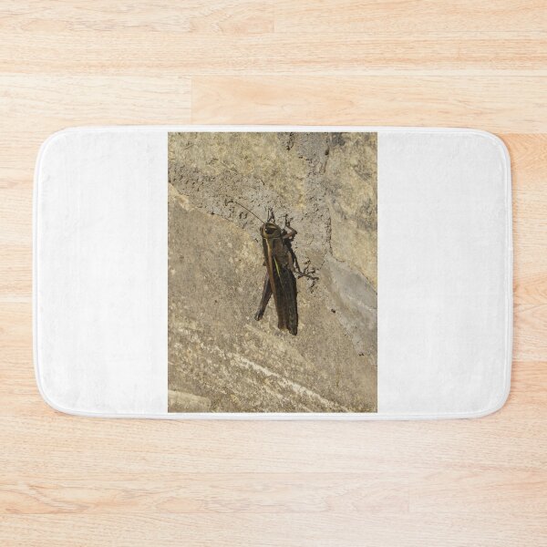 Item preview, Close-Up Of A Grasshopper Resting On A Sunlit Stone Wall With Natural Camouflage designed and sold by Nmallia.