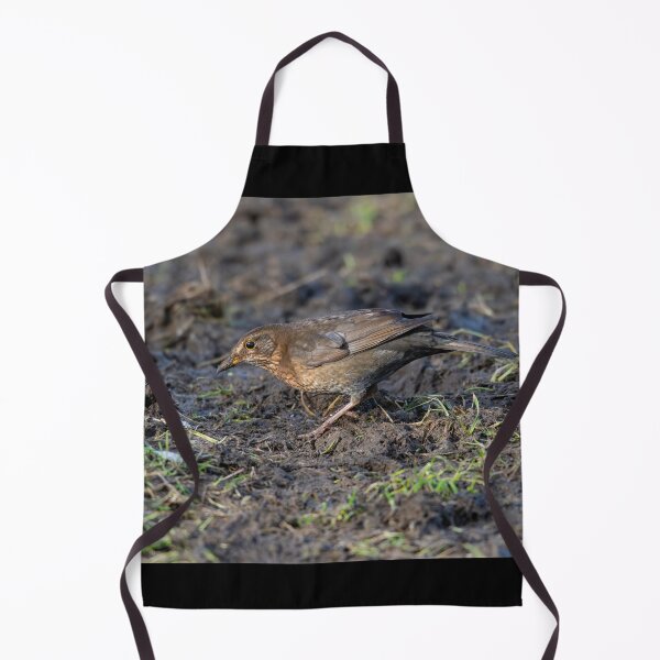 Item preview, Female common Blackbird (Turdus merula) designed and sold by Stephen Jarman.