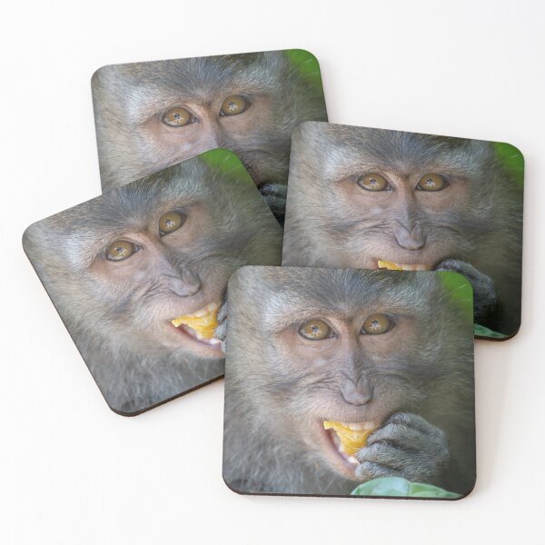 Item preview, Hungry Eyes – Balinese Long-Tailed Macaque Eating Fruit, Bali Wildlife Photography designed and sold by WildFrameNature.