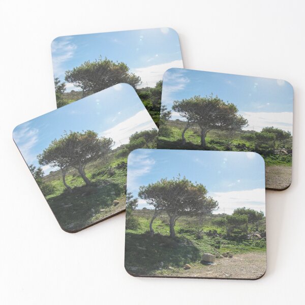 Item preview, Sunlit Mediterranean Countryside With Windblown Trees, Rocky Path And Green Shrubland Under Blue Sky designed and sold by Nmallia.