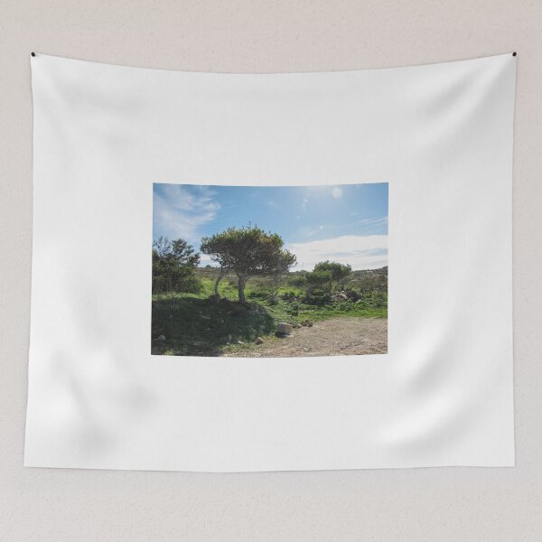 Item preview, Sunlit Mediterranean Countryside With Windblown Trees, Rocky Path And Green Shrubland Under Blue Sky designed and sold by Nmallia.