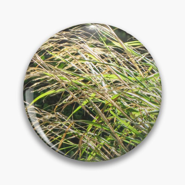 Item preview, Sunlit Tall Wild Grass Bending In Breeze With Golden Seedheads And Lush Green Blades designed and sold by Nmallia.