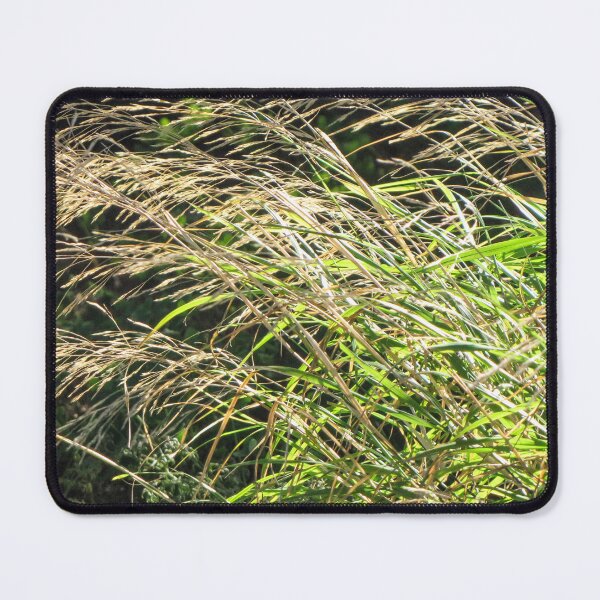 Item preview, Sunlit Tall Wild Grass Bending In Breeze With Golden Seedheads And Lush Green Blades designed and sold by Nmallia.