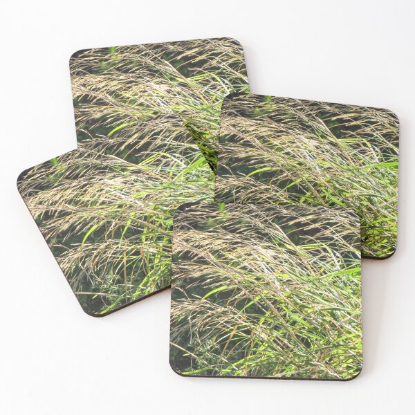 Item preview, Sunlit Tall Wild Grass Bending In Breeze With Golden Seedheads And Lush Green Blades designed and sold by Nmallia.
