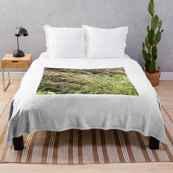 Item preview, Sunlit Tall Wild Grass Bending In Breeze With Golden Seedheads And Lush Green Blades designed and sold by Nmallia.