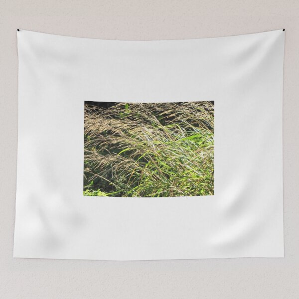 Item preview, Sunlit Tall Wild Grass Bending In Breeze With Golden Seedheads And Lush Green Blades designed and sold by Nmallia.