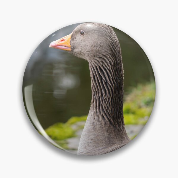 Item preview, Greylag Goose (Anser anser) designed and sold by Stephen Jarman.