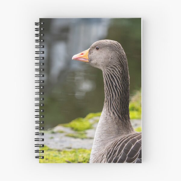 Item preview, Greylag Goose (Anser anser) designed and sold by Stephen Jarman.