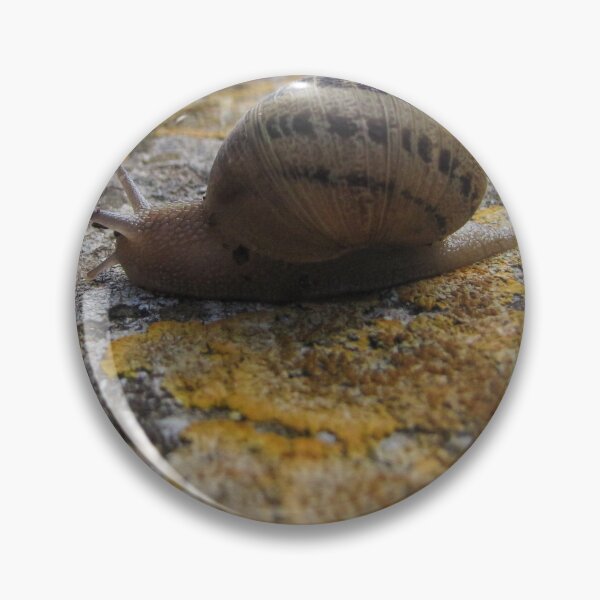 Item preview, Garden Snail Crawling on Lichen-Covered Rock Close-Up Macro Nature Texture Outdoors designed and sold by Nmallia.