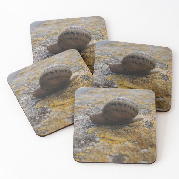 Item preview, Garden Snail Crawling on Lichen-Covered Rock Close-Up Macro Nature Texture Outdoors designed and sold by Nmallia.