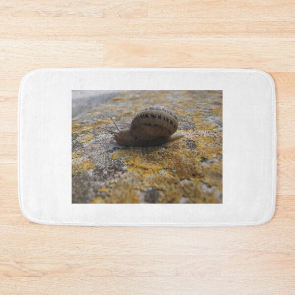 Item preview, Garden Snail Crawling on Lichen-Covered Rock Close-Up Macro Nature Texture Outdoors designed and sold by Nmallia.