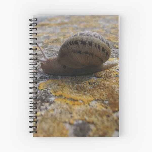 Item preview, Garden Snail Crawling on Lichen-Covered Rock Close-Up Macro Nature Texture Outdoors designed and sold by Nmallia.