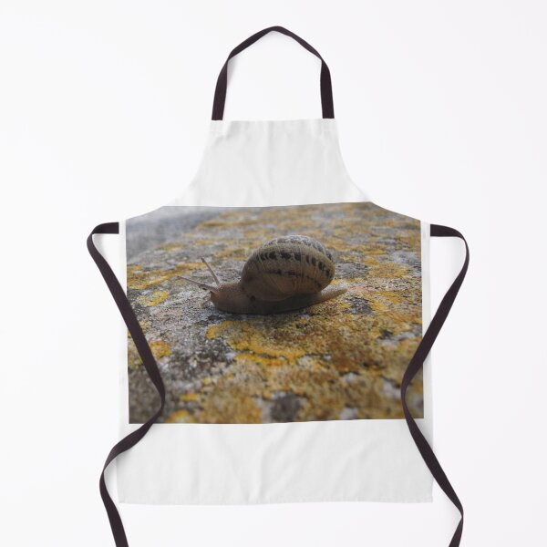 Item preview, Garden Snail Crawling on Lichen-Covered Rock Close-Up Macro Nature Texture Outdoors designed and sold by Nmallia.