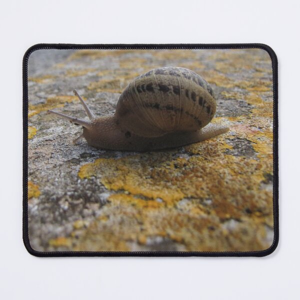 Item preview, Garden Snail Crawling on Lichen-Covered Rock Close-Up Macro Nature Texture Outdoors designed and sold by Nmallia.