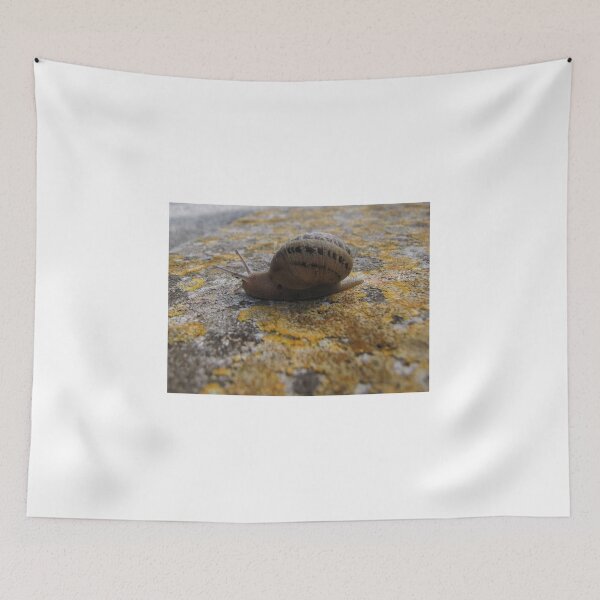 Item preview, Garden Snail Crawling on Lichen-Covered Rock Close-Up Macro Nature Texture Outdoors designed and sold by Nmallia.