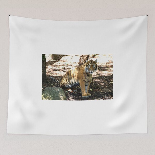 Item preview, Tiger Eyes designed and sold by GP1746.