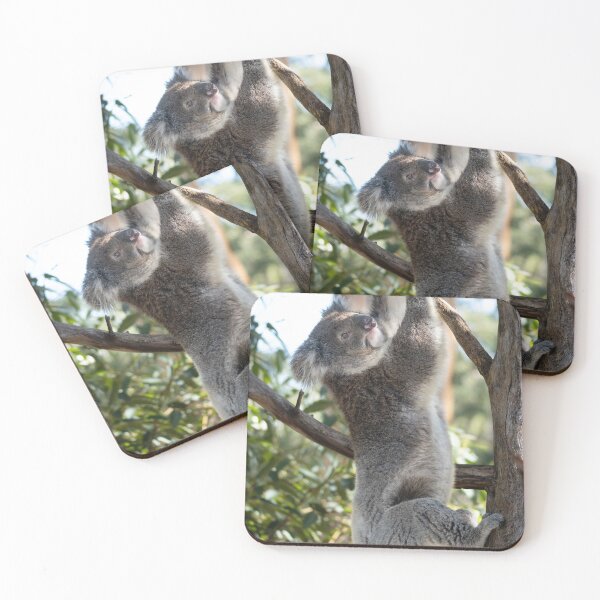 Item preview, Going Up – Wild Koala Climbing a Eucalyptus Tree, Australia Wildlife Photography designed and sold by WildFrameNature.