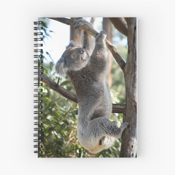 Item preview, Going Up – Wild Koala Climbing a Eucalyptus Tree, Australia Wildlife Photography designed and sold by WildFrameNature.