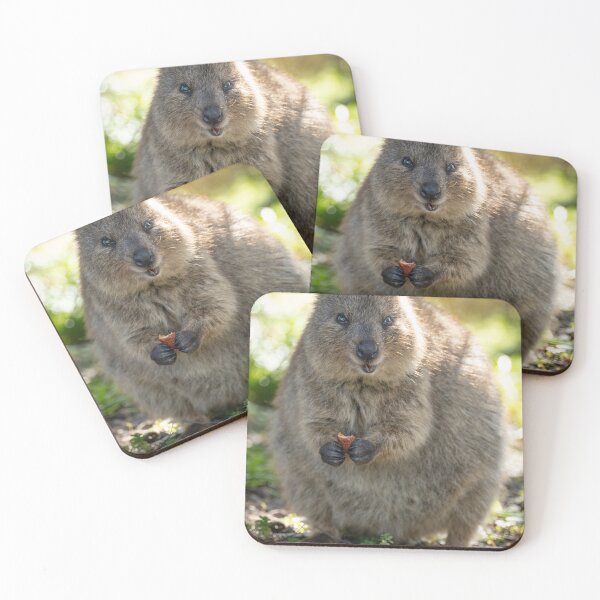 Item preview, The Happiest Snack – Smiling Quokka Holding Food, Rottnest Island Wildlife Photography designed and sold by WildFrameNature.