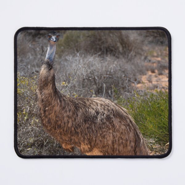Item preview, Outback Giant – Wild Emu Standing in the Australian Desert, Wildlife Photography designed and sold by WildFrameNature.