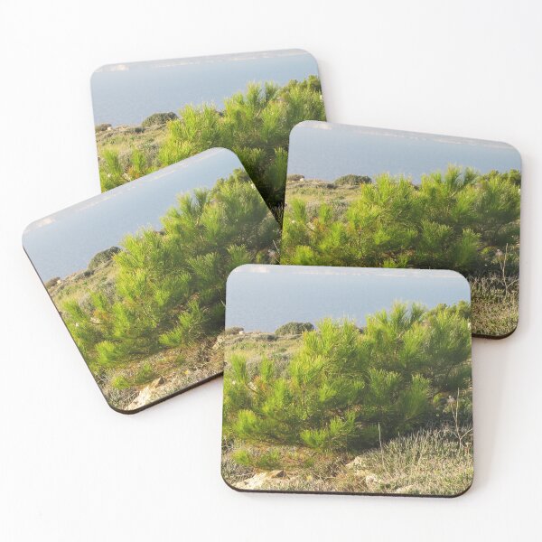 Item preview, Young Pine Bush on Coastal Cliff Overlooking Calm Sea in Mediterranean Scrub Landscape designed and sold by Nmallia.