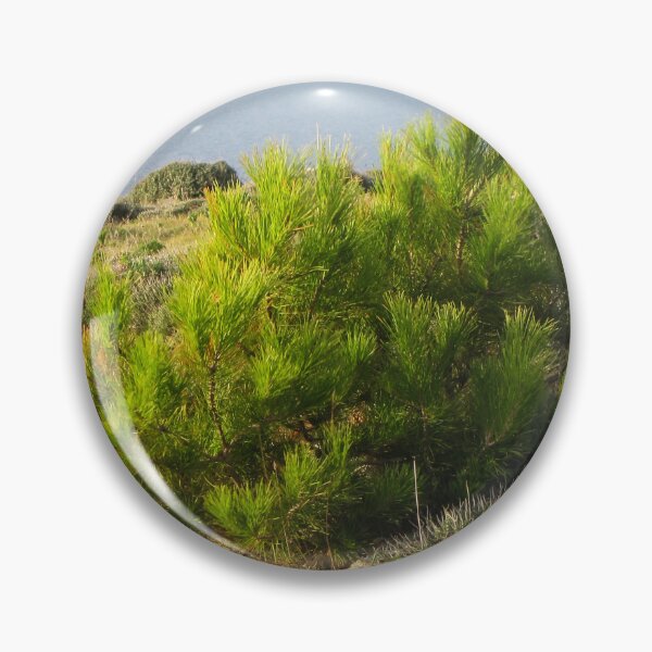 Item preview, Young Pine Bush on Coastal Cliff Overlooking Calm Sea in Mediterranean Scrub Landscape designed and sold by Nmallia.