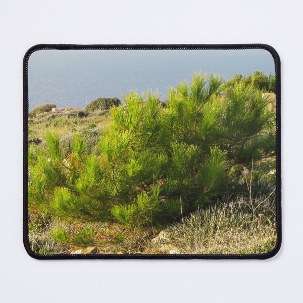 Item preview, Young Pine Bush on Coastal Cliff Overlooking Calm Sea in Mediterranean Scrub Landscape designed and sold by Nmallia.