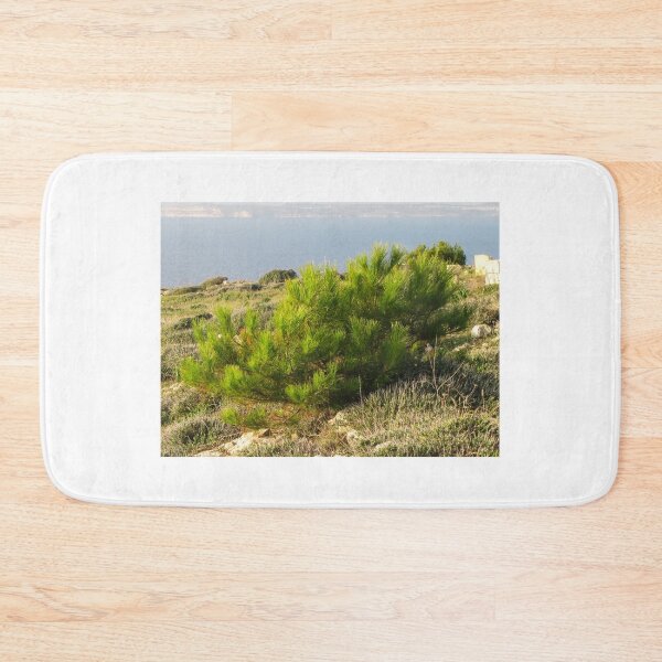 Item preview, Young Pine Bush on Coastal Cliff Overlooking Calm Sea in Mediterranean Scrub Landscape designed and sold by Nmallia.