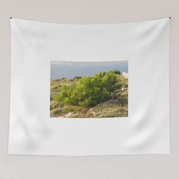 Item preview, Young Pine Bush on Coastal Cliff Overlooking Calm Sea in Mediterranean Scrub Landscape designed and sold by Nmallia.