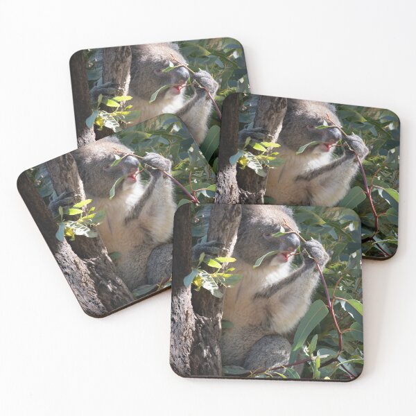 Item preview, Leaf by Leaf – Koala Munching Eucalyptus Branch, Australia Wildlife Photography designed and sold by WildFrameNature.
