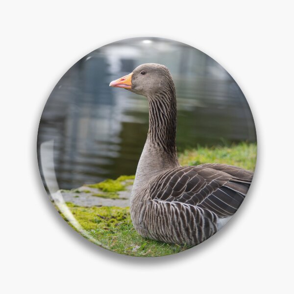 Item preview, Greylag Goose (Anser anser) designed and sold by Stephen Jarman.