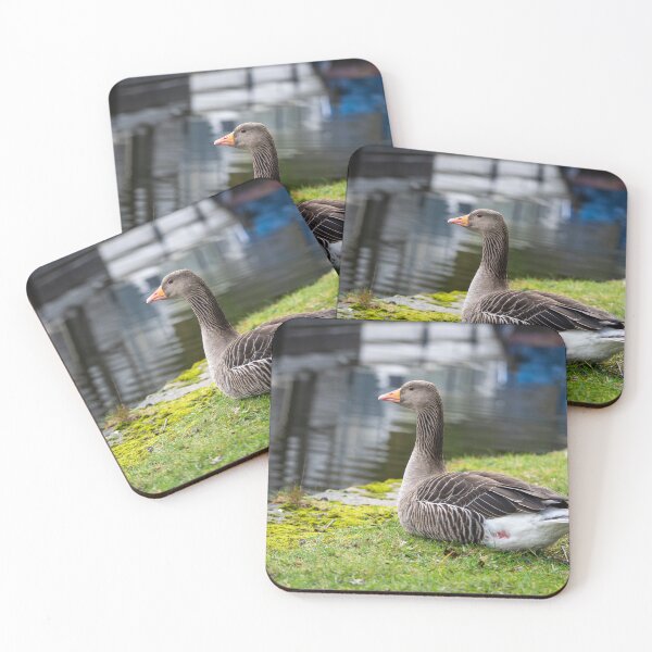 Item preview, Greylag Goose (Anser anser) designed and sold by Stephen Jarman.