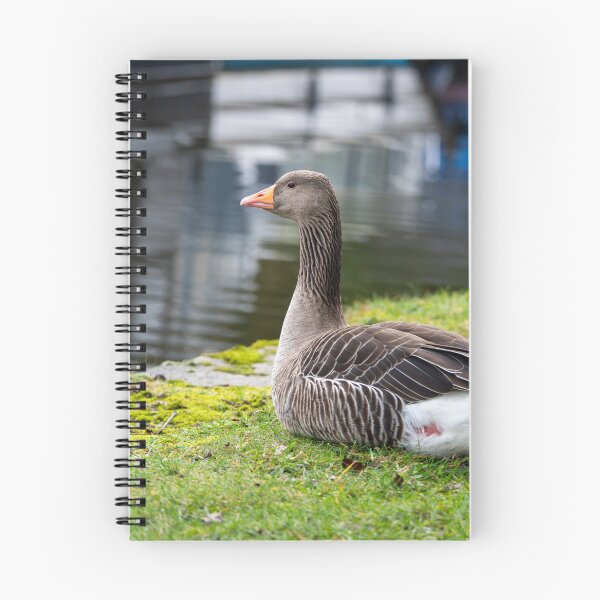 Item preview, Greylag Goose (Anser anser) designed and sold by Stephen Jarman.
