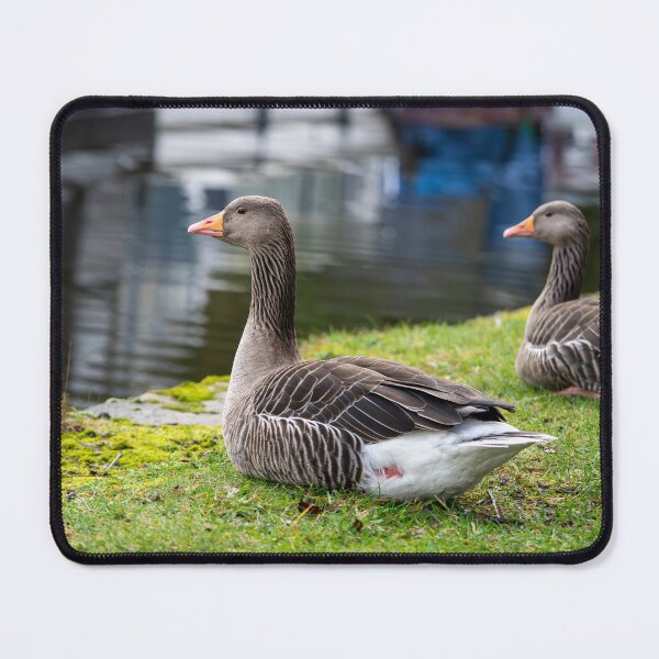 Item preview, Greylag Goose (Anser anser) designed and sold by Stephen Jarman.