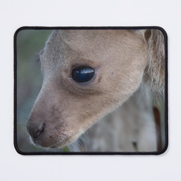 Item preview, First Glimpse – Kangaroo Joey Peering from the Pouch, Australia Wildlife Photography designed and sold by WildFrameNature.