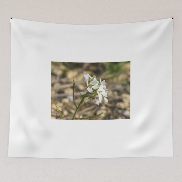 Item preview, White Wildflower Close-Up On Green Stem With Rocky Background And Spring Bloom designed and sold by Nmallia.