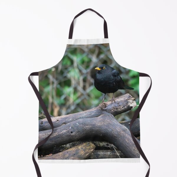 Item preview, Male common Blackbird (Turdus merula) designed and sold by Stephen Jarman.