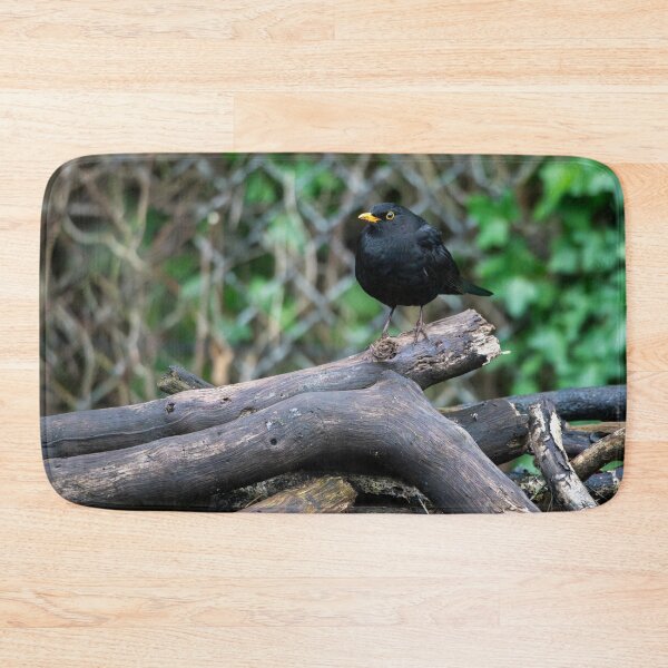Item preview, Male common Blackbird (Turdus merula) designed and sold by Stephen Jarman.