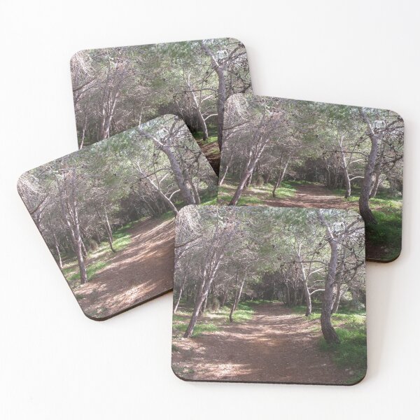 Item preview, Sunlit Forest Path Through Pine Trees And Shaded Woodland Trail With Natural Green Undergrowth designed and sold by Nmallia.