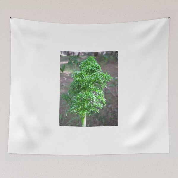 Item preview, Close-Up Of Feathery Green Plant Foliage In Forest Nature Macro Photograph designed and sold by Nmallia.