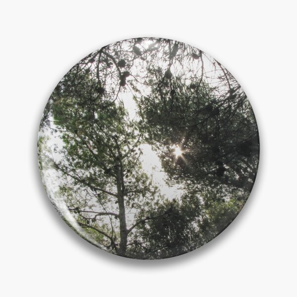 Item preview, Sunlight Filtering Through Pine Trees in a Dense Forest Canopy With Scattered Pine Cones designed and sold by Nmallia.
