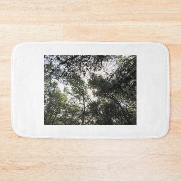 Item preview, Sunlight Filtering Through Pine Trees in a Dense Forest Canopy With Scattered Pine Cones designed and sold by Nmallia.