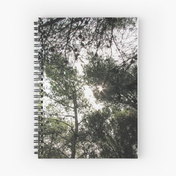 Item preview, Sunlight Filtering Through Pine Trees in a Dense Forest Canopy With Scattered Pine Cones designed and sold by Nmallia.