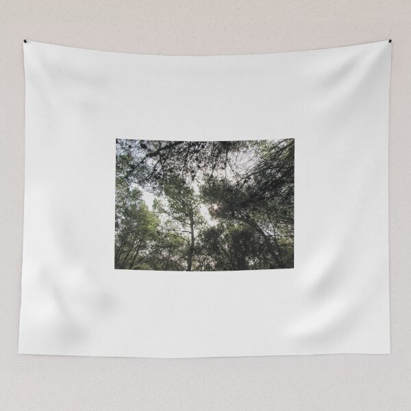 Item preview, Sunlight Filtering Through Pine Trees in a Dense Forest Canopy With Scattered Pine Cones designed and sold by Nmallia.