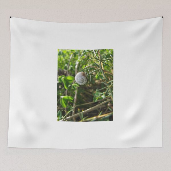 Item preview, Delicate White Snail Shell Clinging to Thorny Gorse Branch in Green Macro Nature Study designed and sold by Nmallia.