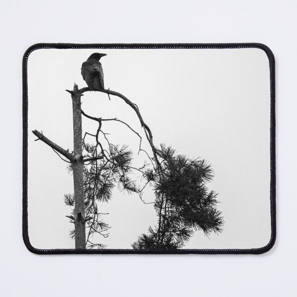 Item preview, Solitary common Raven (Corvus corax) designed and sold by Stephen Jarman.