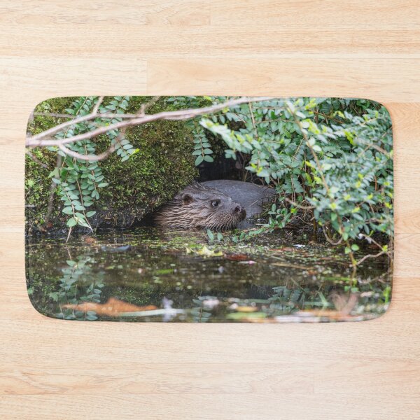 Artikelvorschau, Flussotter im Wasser nahe der Vegetation entworfen und verkauft von Stephen Jarman.