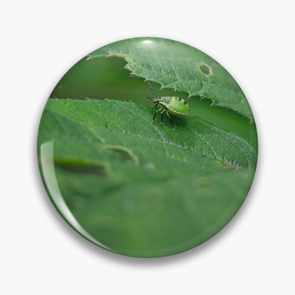 Item preview, Green shieldbug Palomena prasina designed and sold by Stephen Jarman.