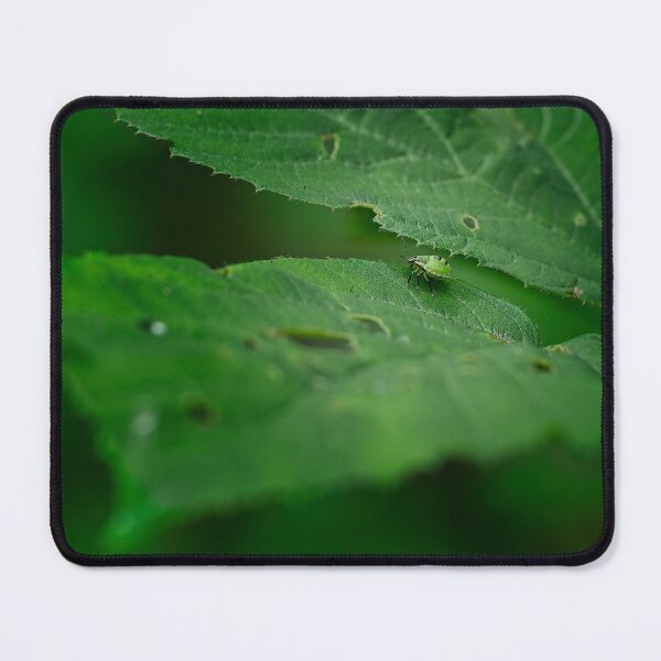 Item preview, Green shieldbug Palomena prasina designed and sold by Stephen Jarman.