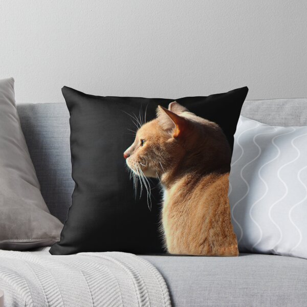 Item preview, Orange cat designed and sold by Deniis2204.
